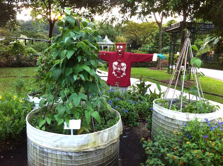 Best 20 Raised Bed Garden Design Ideas On Pinterest Best 20 Raised Bed Garden Design Ideas On Pinterest