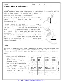 science worksheets science worksheets biology worksheet biology lessons