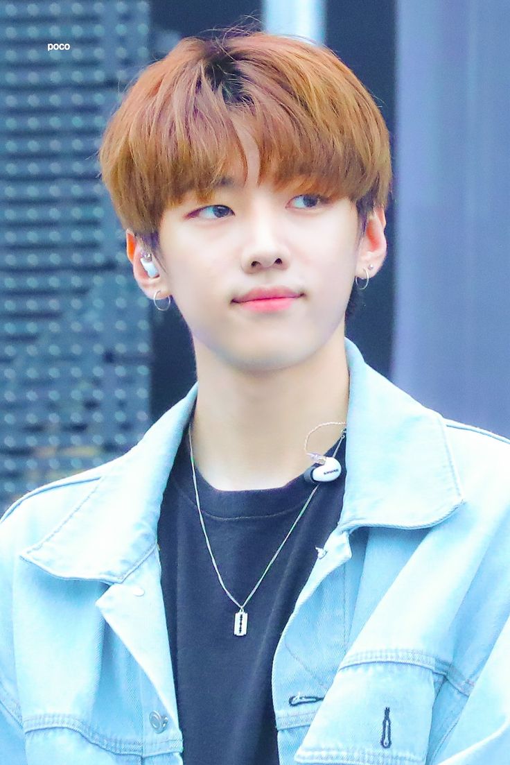 dongkiz jaechan park entertaining kim dongkiz jaechan park entertaining kim