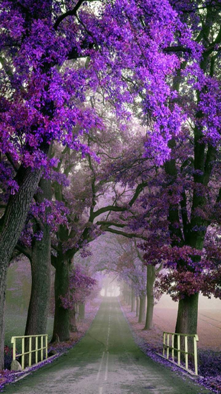 Download Nature Landscape Wallpaper By Perfumevanilla 0e Free On Zedge Now Browse Millio Beautiful Places Nature Landscape Wallpaper Beautiful Landscapes