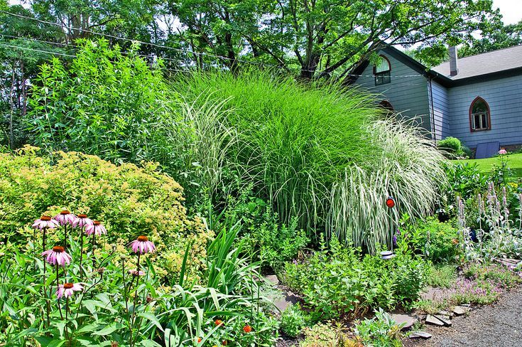 How To Landscape A Sloped Yard Hillside Landscaping Sloped Garden Landscaping With Rocks