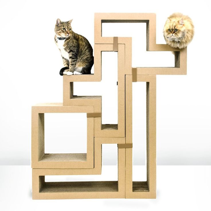 150 best cat tree images on Pinterest | Cat stuff, Animals and Cat ... 150 best cat tree images on Pinterest | Cat stuff, Animals and Cat ...