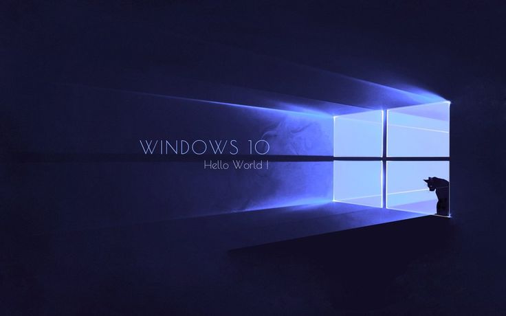 Best Microsoft Windows 10 Wallpaper Cat | Microsoft wallpaper