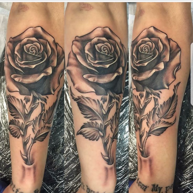 5089 best tattoos ideas images on pinterest 5089 best tattoos ideas images on pinterest