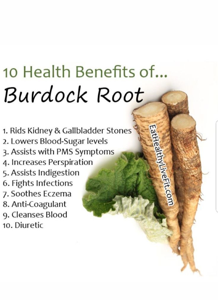 Benefits of burdock root livin right health, natural health
