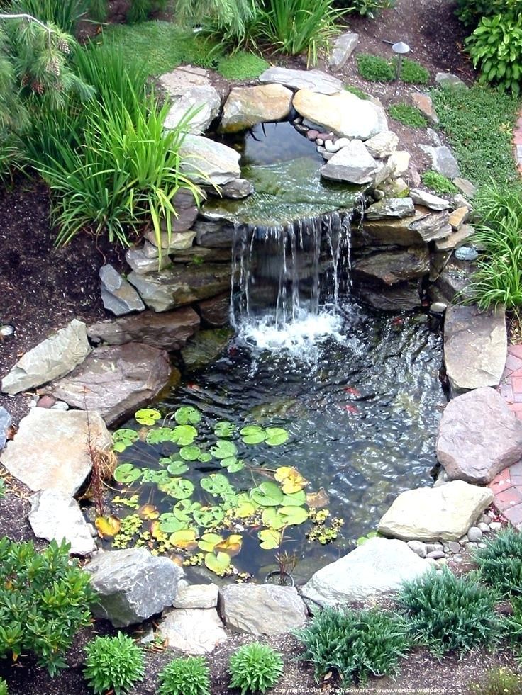 Backyard Pond Waterfall Pics Garden Ponds And Waterfalls Designs Cute Water Lilies Koi Fish In Mode Small - Garden Ponds And Waterfalls Pictures Backyard Pond Waterfall Pics Garden Ponds And Waterfalls Designs Cute Water Lilies Koi Fish In Mode Small - Garden Ponds And Waterfalls Pictures