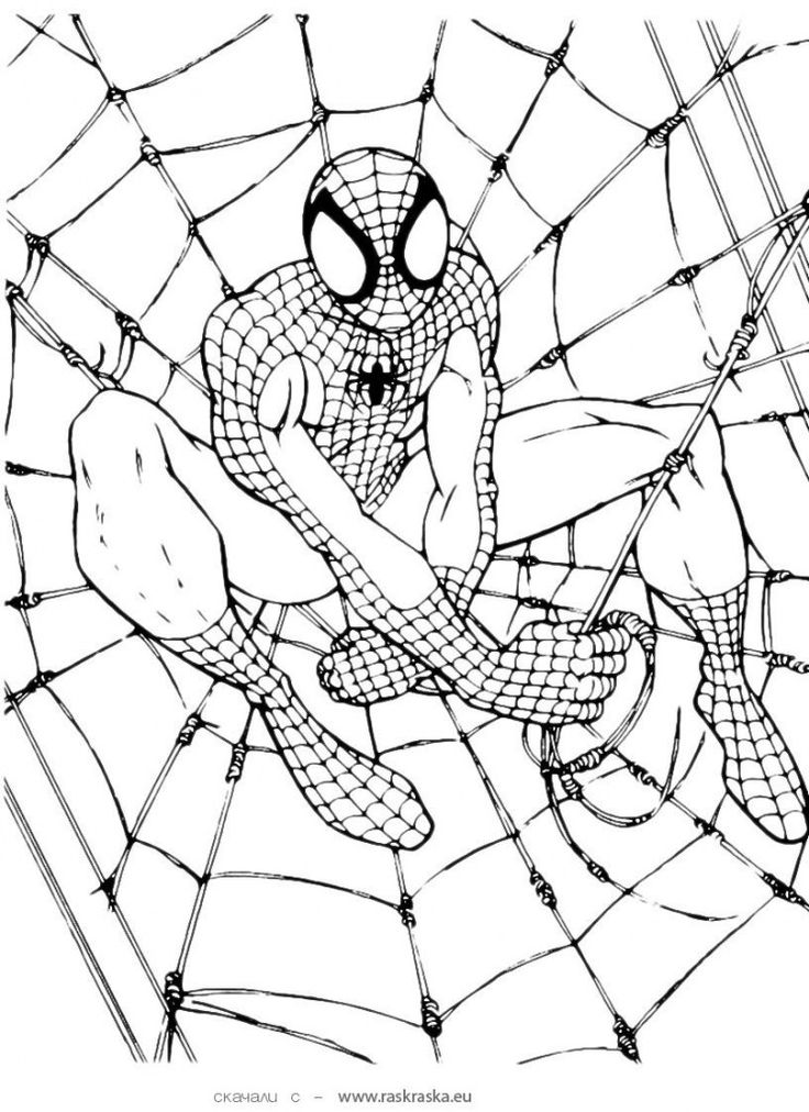 Free Printable Spiderman Coloring Pages For Kids Spiderman Coloring Cool Coloring Pages Coloring Pages For Kids