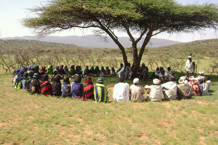 A Group Of People Sitting Under A Tree A Group Of People Sitting Under A Tree