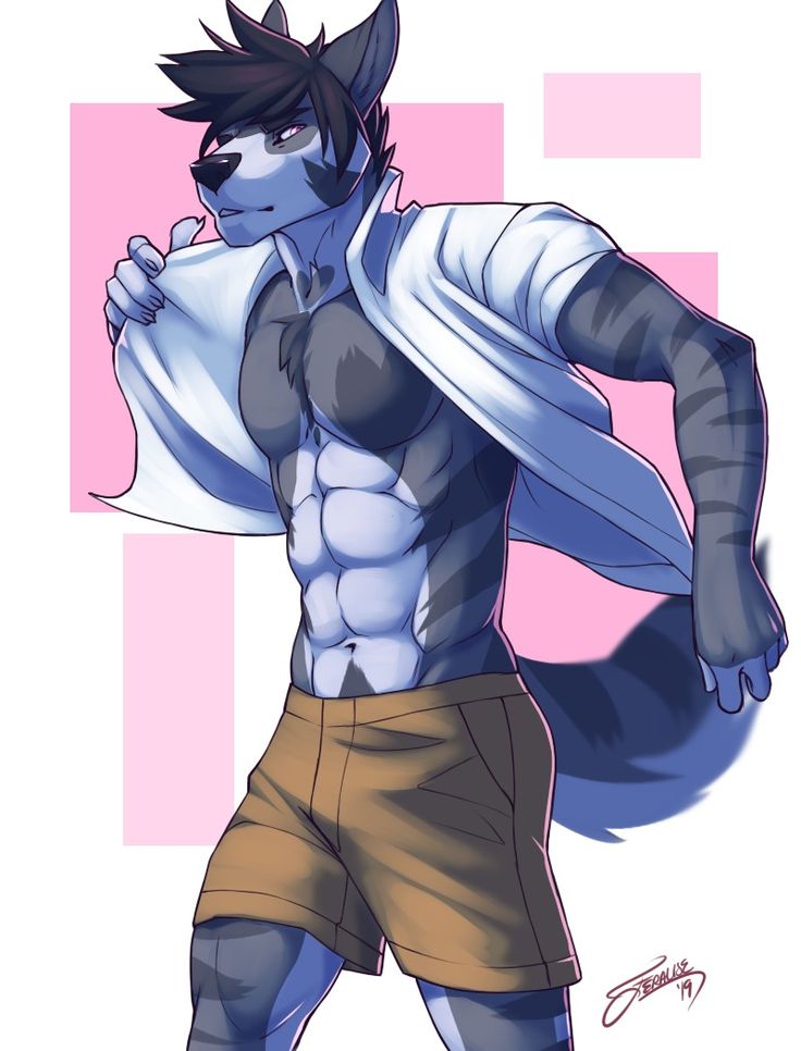 Six Pack Male Wolf Furry Six Pack Male Wolf Furry