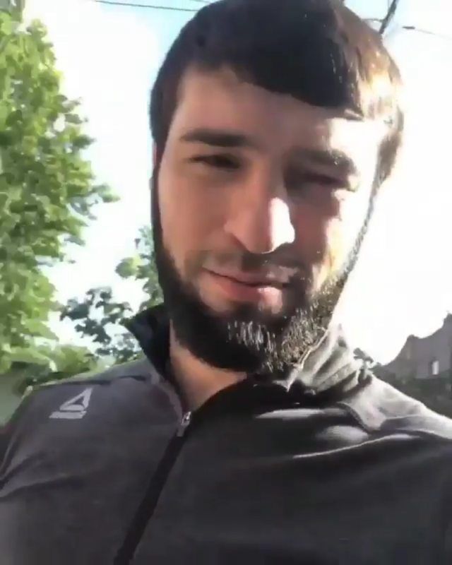 Pin Auf Zubaira Tukhugov