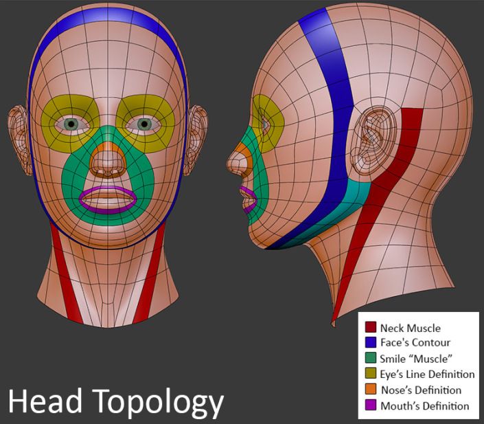 blender human head model download blender human head model download