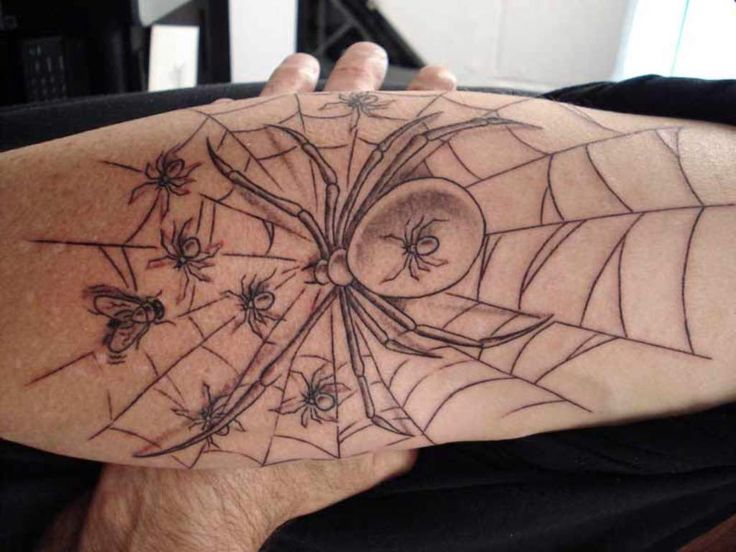 spiderweb tattoos designs http tattoomirror com spiderweb tattoos designs http tattoomirror com