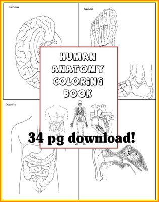 Best 25+ Anatomy and physiology book ideas on Pinterest | The ... Best 25+ Anatomy and physiology book ideas on Pinterest | The ...