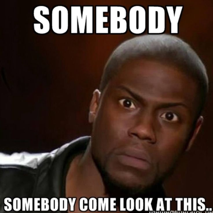 somebody come look at this funny memes pinterest funny memes 04cd49998db0709e090d20cf853227e4 kevin hart meme kevin oleary somebody come look at this funny memes pinterest funny memes,Crazy Look Meme