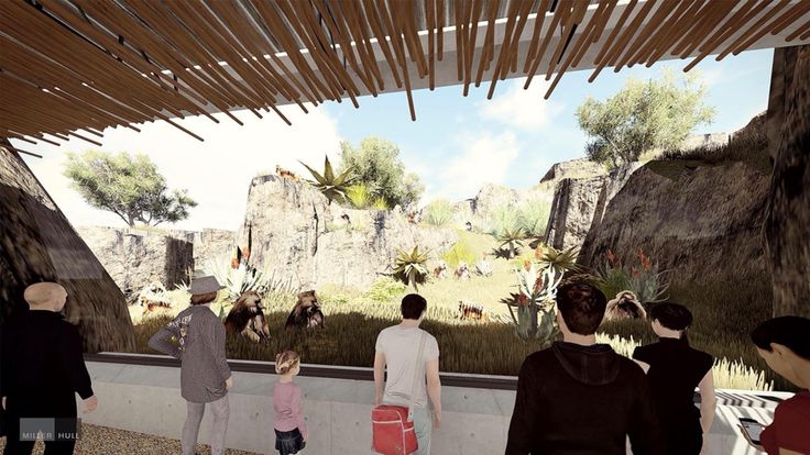 San Diego Zoo Africa Rocks Baboon Exhibit By Elm Environments Quince Farm Studio With Miller Hull Partnership