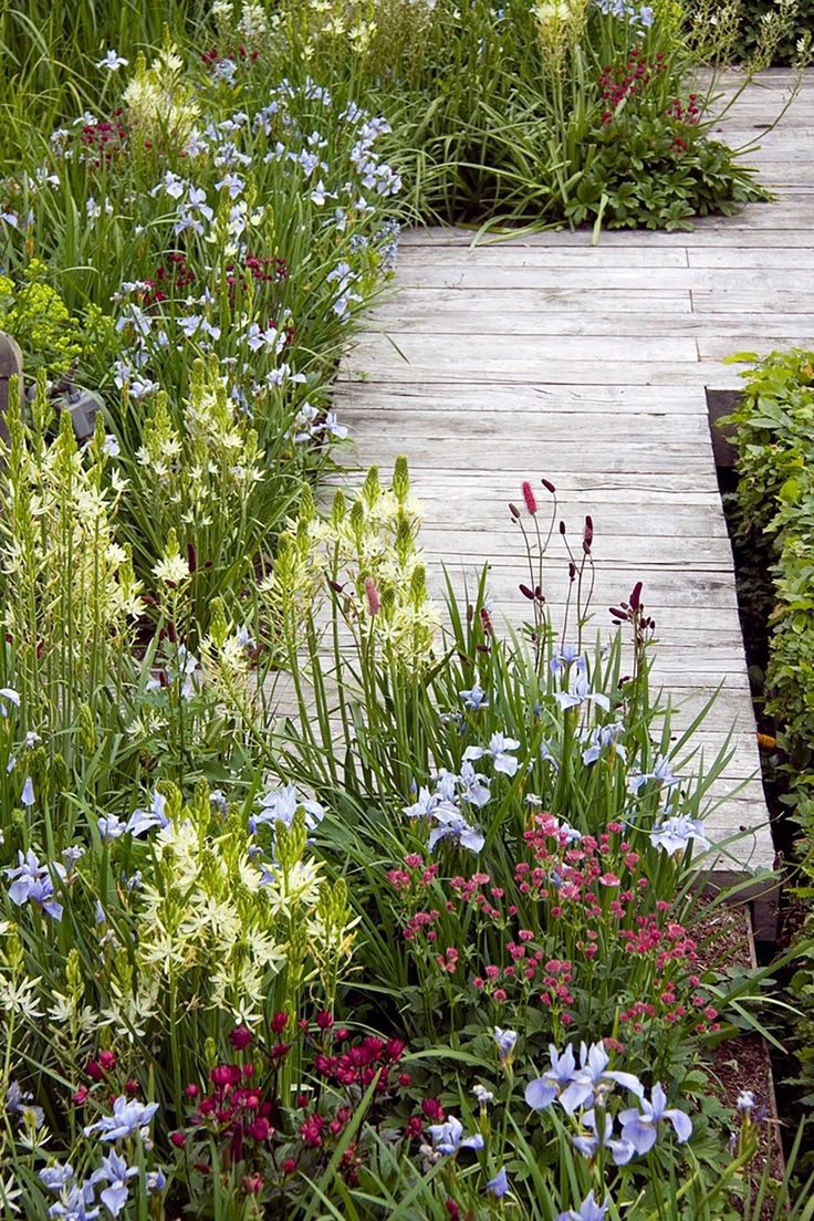 Tour the Wild, Beautiful Landscapes of Arne Maynard