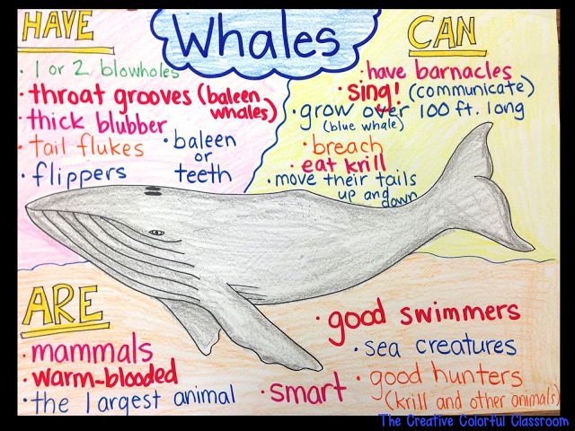 281 Best Sea Life Art Kindergarten Images On Pinterest Crafts For Kids Kid Crafts And Ocean