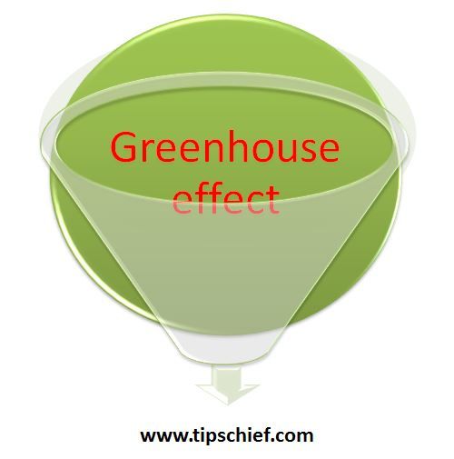 Paper on greenhouse effect