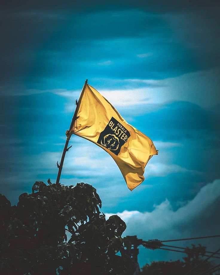 Pin On My Saves Kerala Blasters Fc Kerala Blasters Logo Wallpaper pin-on-my-saves-kerala-blasters-fc-kerala-blasters-logo-wallpaper