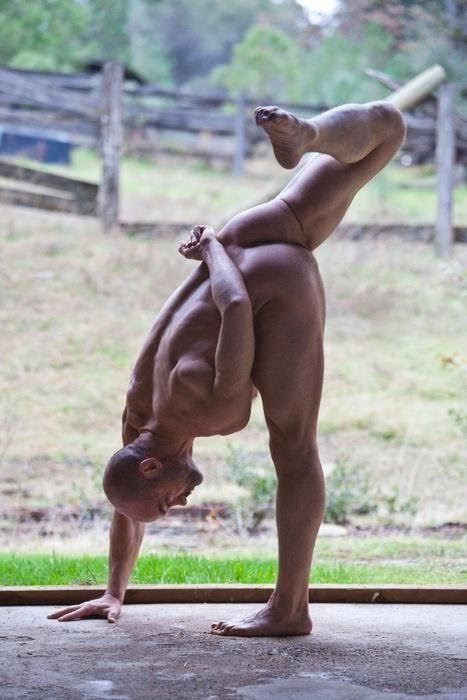venice gay male escorts mayure gay tube