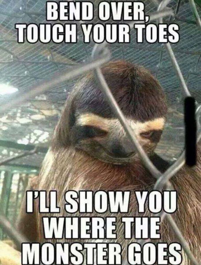 best 25 funny adult memes ideas on pinterest flirting quotes 0513034a8c16dd6ab1dfe492fee34220 creepy sloth sloth memes best 25 funny adult memes ideas on pinterest flirting quotes,Funny Adult Memes
