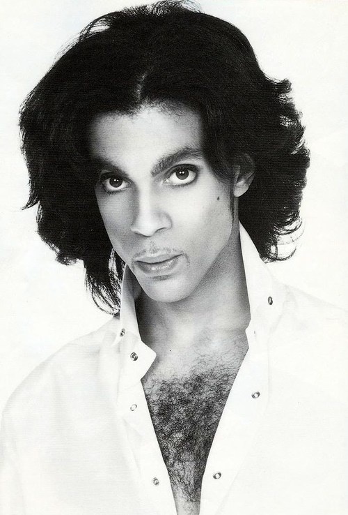 Resultado de imagem para prince nelson