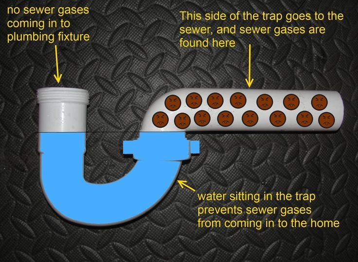 8 best p trap images on Pinterest Plumbing fixtures, Bathroom - basic p&l template 8 best p trap images on Pinterest Plumbing fixtures, Bathroom - basic p&l template