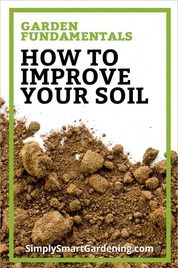 Want To Improve Your Garden Soil But Don T Know Where Start Want To Improve Your Garden Soil But