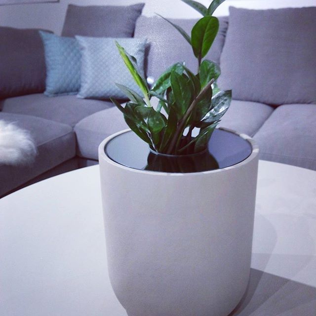 Pin By Jim Zavos On Vase Boconcept Flower Pots Planter Pots