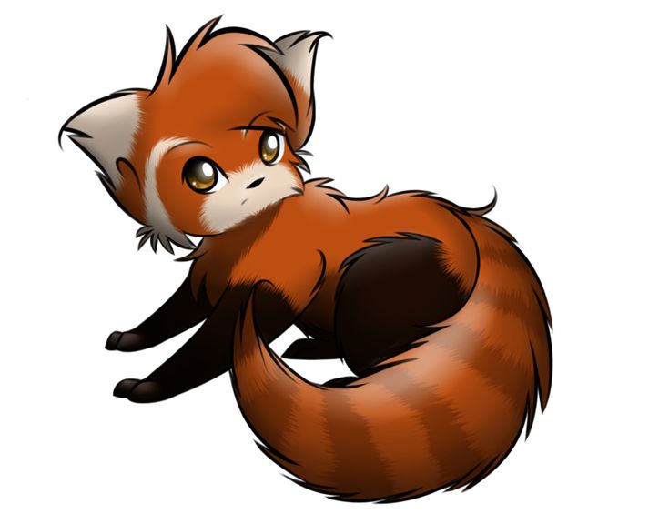 I lub red panda's! The cutest things ever! Panda drawing, Panda illustration, Chibi panda I lub red panda's! The cutest things ever! Panda drawing, Panda illustration, Chibi panda