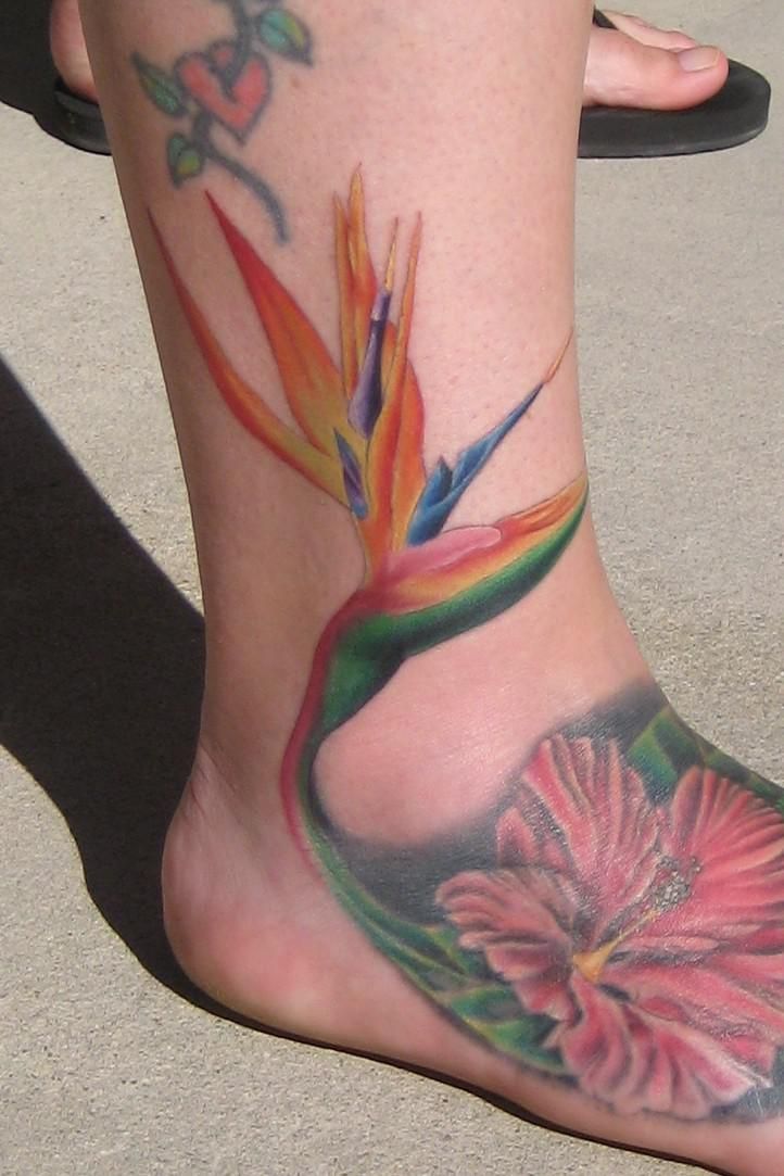 15 best tattoo images on pinterest painting bird and cold porcelain 15 best tattoo images on pinterest painting bird and cold porcelain
