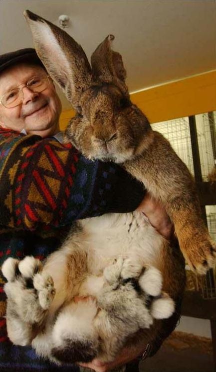 Jokes chubby bunny Gay massage table oral sex