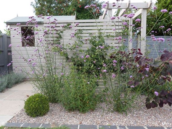 Garden Design With Gravel Ideas 25+ best gravel garden ideas on pinterest | landscape design Garden Design With Gravel Ideas 25+ best gravel garden ideas on pinterest | landscape design