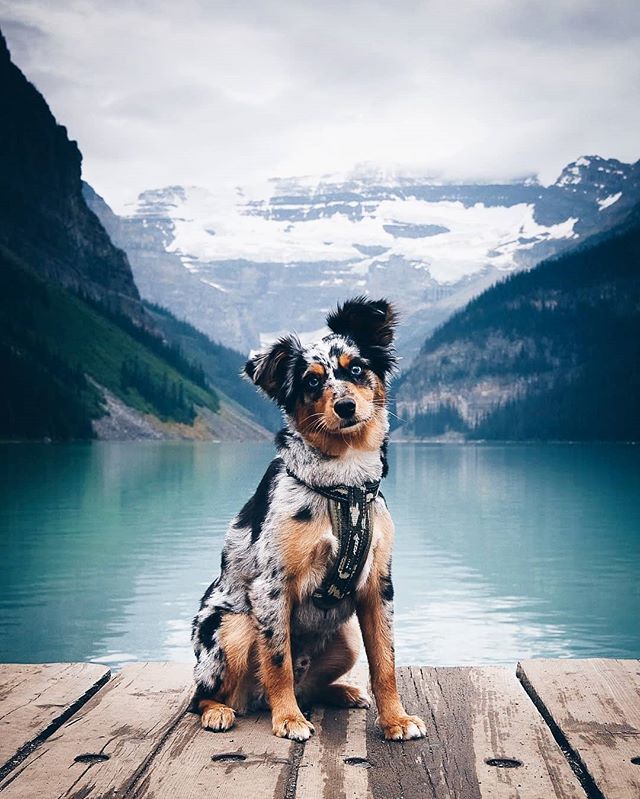 To See What This Little Fella Is Up To Follow The Adventures Of