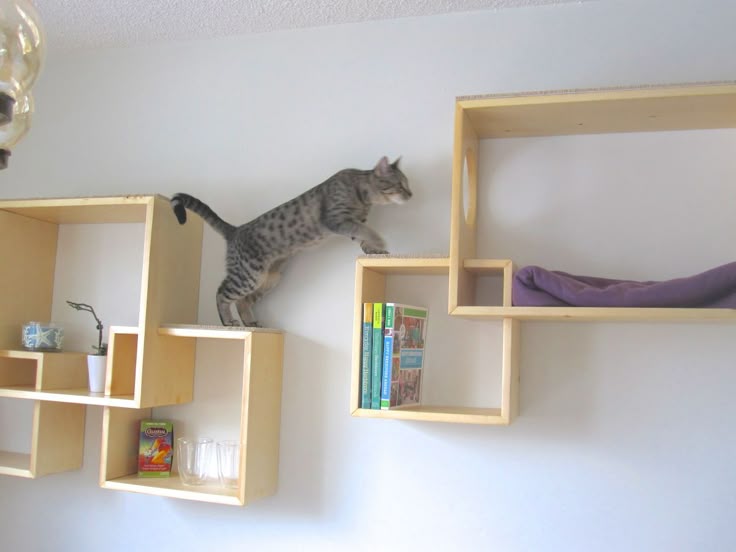 Type Of Furniture Design write your own review Modern Cat Tree Alternatives For Up To Date Pets Contemporary Interior Design Cat Tree And Contemporary Type Of Furniture Design sun and moon chair kurogaki type a japanese chairwindsor chairschair designfurniture Modern Cat Tree Alternatives For Up To Date Pets Contemporary Interior Design Cat Tree And Contemporary