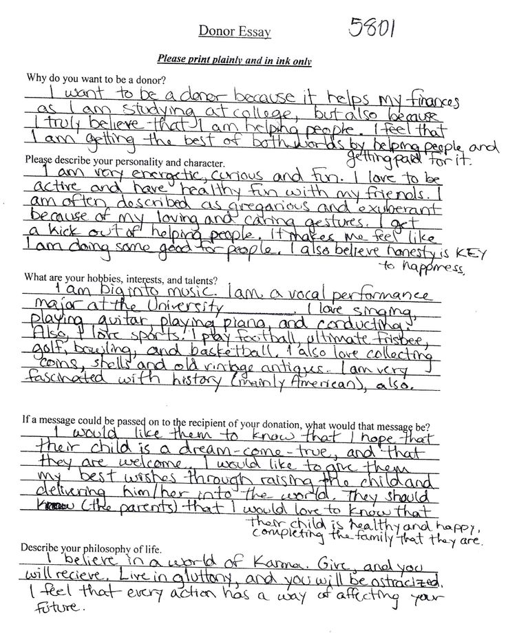 Online piracy essay