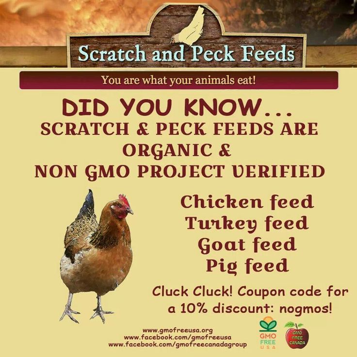 Feed Projects Coupons and Deals Shoppers looking for FEED Projects also liked these coupons
