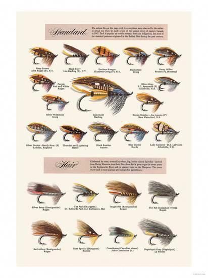 LetS Fish Tipps LetS Fish Tipps