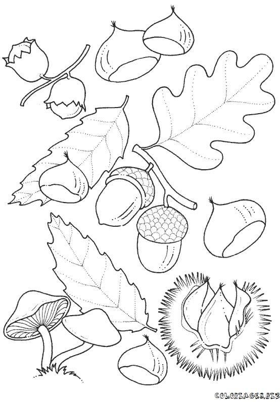 32 best autunno images on Pinterest Fall winter, Autumn and - best of coloring pages fall and winter 32 best autunno images on Pinterest Fall winter, Autumn and - best of coloring pages fall and winter
