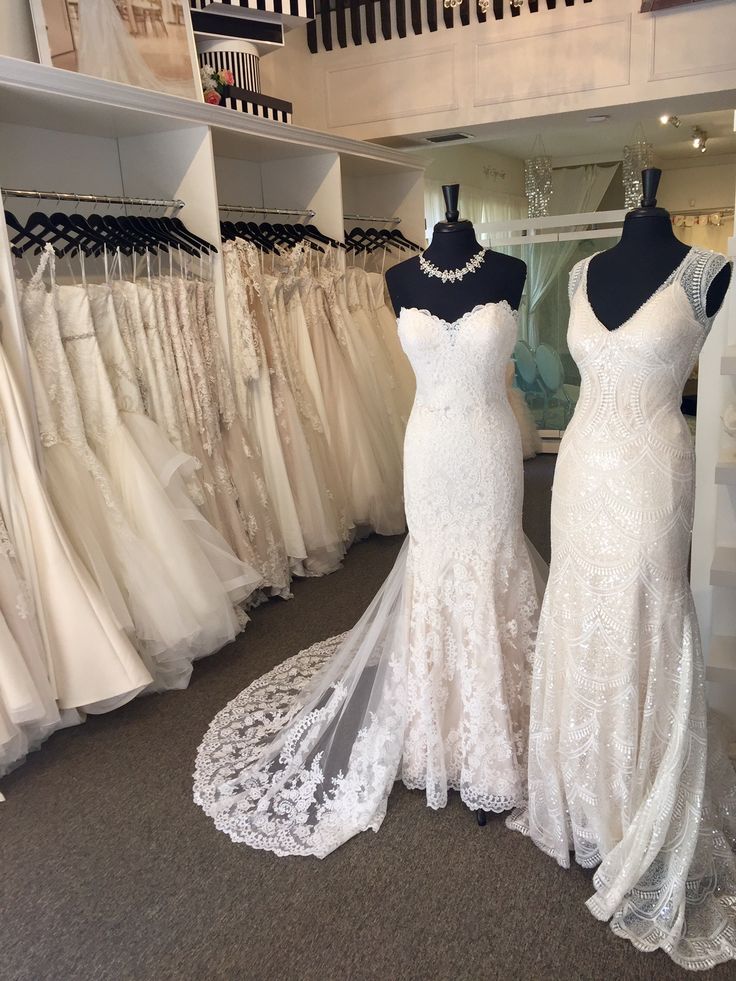 42 Best Wedding Dresses On Mannequins Images Pinterest Eve Of Eddy K Dreams Fiji Lucia At Boca Raton Bridal South