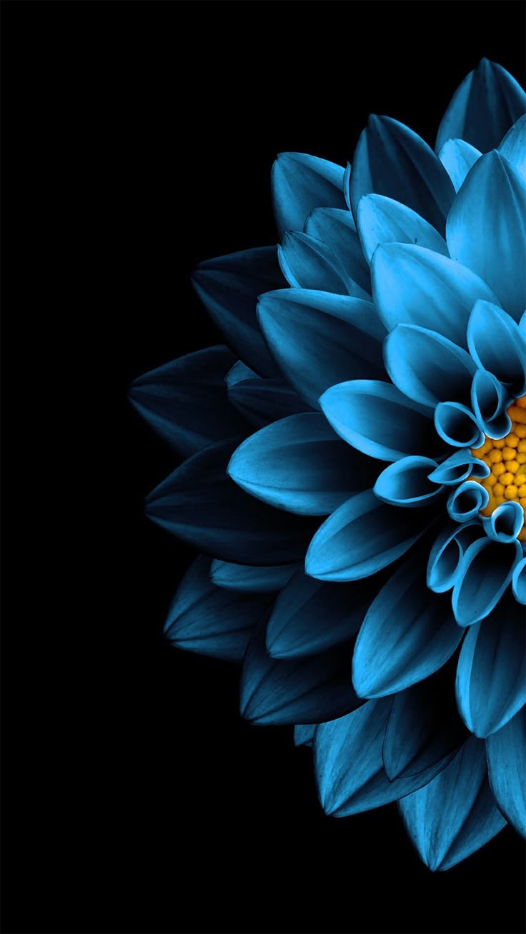 Blue Wallpaper iPhone