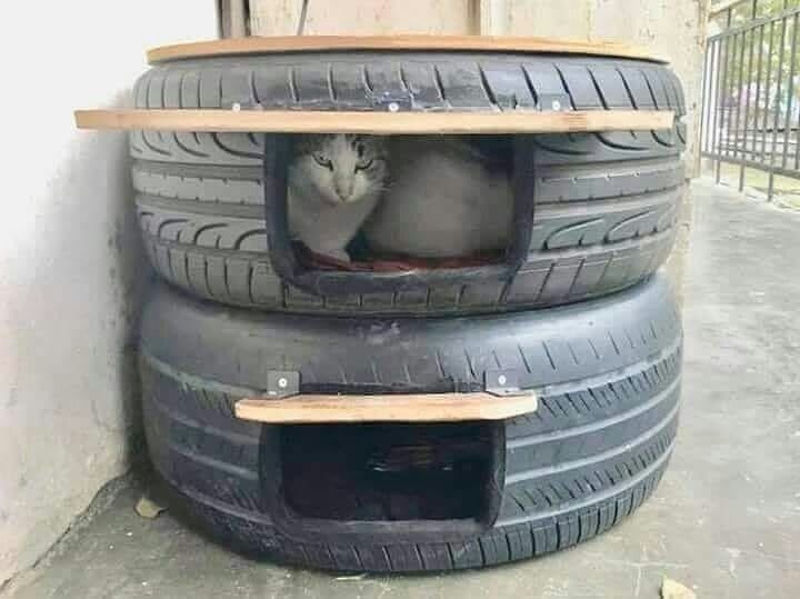 It S Waterproof It Keeps Them Warm It Can T Be Easily Damaged By Bad People It S A Study That Every Ani Outdoor Cat House Cat House Diy Outdoor Cat Shelter