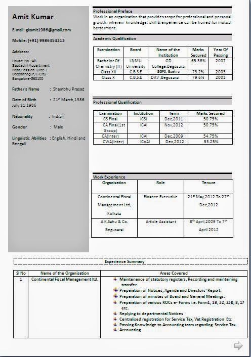 curriculum vitae meaning sample template example ofexcellent curriculum vitae resume cv format with career - Resume Curriculum Vitae Format curriculum vitae meaning sample template example ofexcellent curriculum vitae resume cv format with career - Resume Curriculum Vitae Format