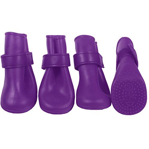 Pin On Dog Apparel And Accessories