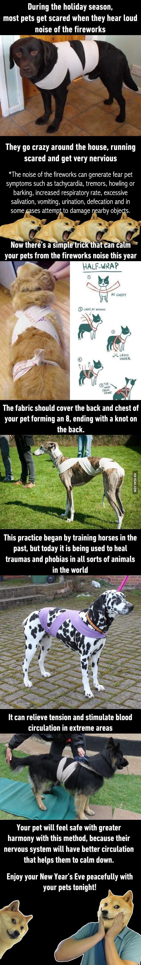 Dog Hacks Warum habe ich nicht daran gedacht- Hallo Freunde, du fragst immer w...
