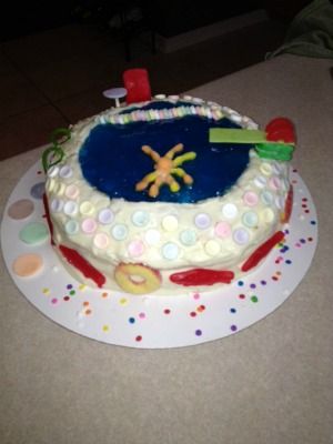 Pool Party Cake | Pool party cakes, Cake, Homemade cakes