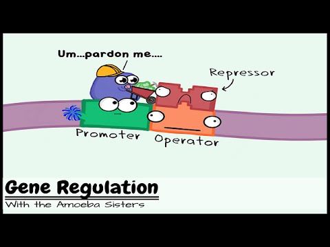 712 best AP Biology images on Pinterest Ap biology, Biology - new blueprint gene expression 712 best AP Biology images on Pinterest Ap biology, Biology - new blueprint gene expression