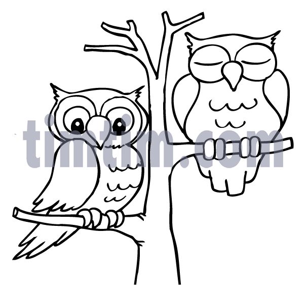 8 best animals images on Pinterest Coloring books, Coloring pages - best of coloring pages to print animals 8 best animals images on Pinterest Coloring books, Coloring pages - best of coloring pages to print animals