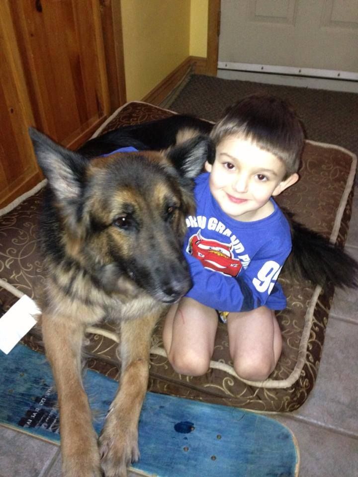 German shepherd and kids Useful german shepherd and kids talented