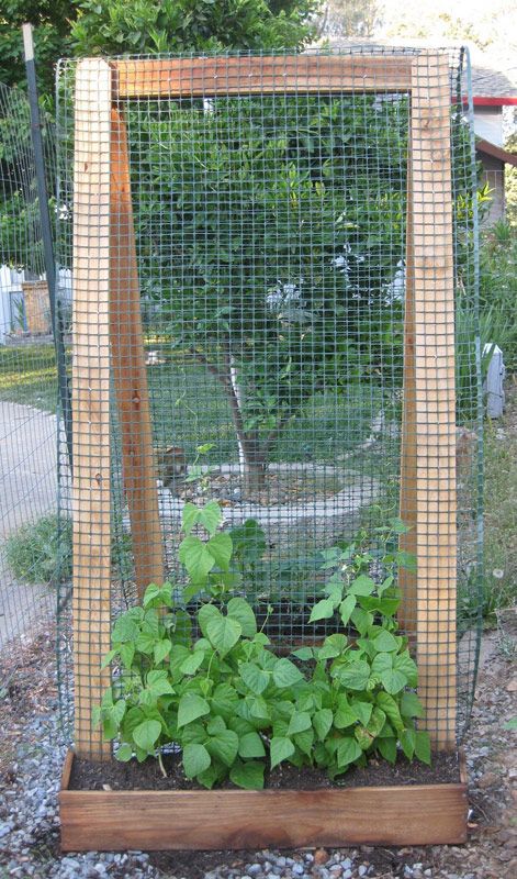 best 25 vertical vegetable gardens ideas on pinterest small vertical garden ideas garden ideas to keep dogs out and small indoor herb garden ideas - Vertical Vegetable Garden Design best 25 vertical vegetable gardens ideas on pinterest small vertical garden ideas garden ideas to keep dogs out and small indoor herb garden ideas - Vertical Vegetable Garden Design